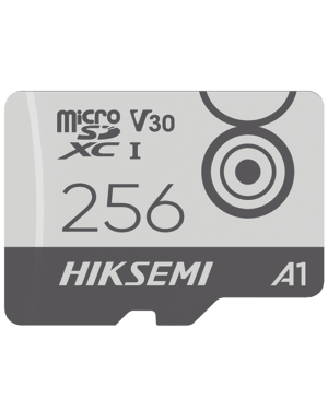 Memoria MicroSD / Clase 10 de 256 GB / Especializada Para Videovigilancia Movil (Uso 24/7) / Soporta Altas Temperaturas / 95 MB/s Lectura / 55 MB/s Escritura